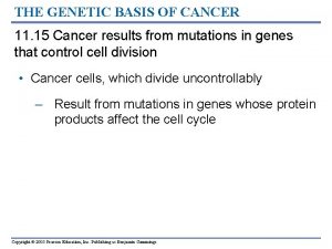 THE GENETIC BASIS OF CANCER 11 15 Cancer