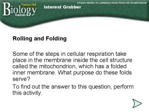 Interest Grabber Section 9 2 Rolling and Folding