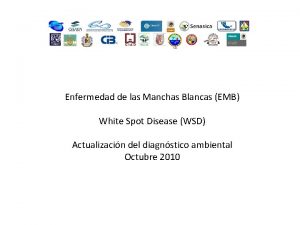 Enfermedad de las Manchas Blancas EMB White Spot