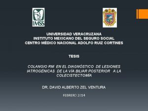 UNIVERSIDAD VERACRUZANA INSTITUTO MEXICANO DEL SEGURO SOCIAL CENTRO
