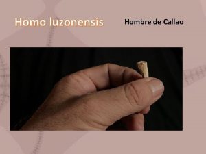 Homo luzonensis Hombre de Callao Notable descubrimiento Homo