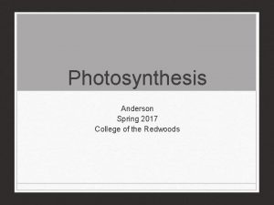 Photosynthesis Anderson Spring 2017 College of the Redwoods