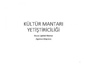 KLTR MANTARI YETTRCL Beyaz apkal Mantar Agaricus bisporus