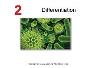 Differentiation Copyright Cengage Learning All rights reserved Related