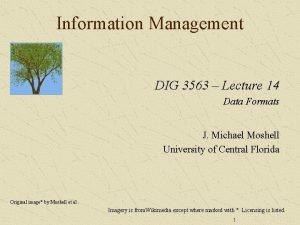 Information Management DIG 3563 Lecture 14 Data Formats