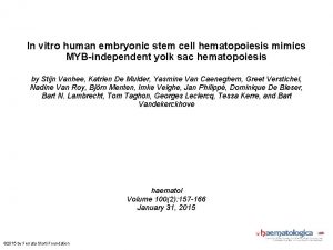 In vitro human embryonic stem cell hematopoiesis mimics