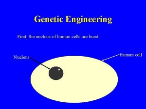 Genetic Engineering First the nucleus of human cells