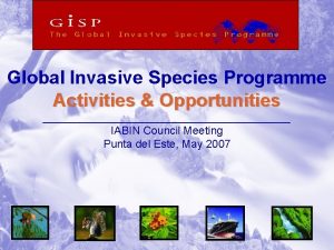 Global Invasive Species Programme Activities Opportunities IABIN Council