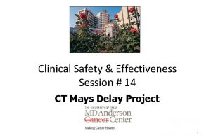 Clinical Safety Effectiveness Session 14 CT Mays Delay