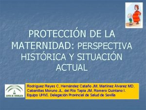 PROTECCIN DE LA MATERNIDAD PERSPECTIVA HISTRICA Y SITUACIN
