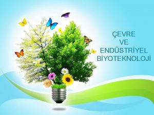 EVRE VE ENDSTRYEL BYOTEKNOLOJ Ders plan ve deerlendirme