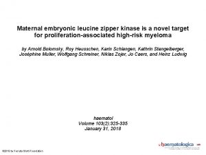 Maternal embryonic leucine zipper kinase is a novel