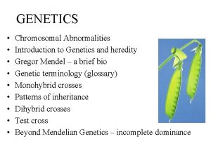 GENETICS Chromosomal Abnormalities Introduction to Genetics and heredity