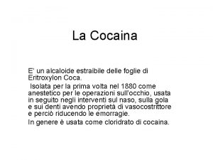 La Cocaina E un alcaloide estraibile delle foglie