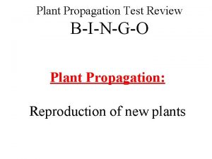 Plant Propagation Test Review BINGO Plant Propagation Reproduction