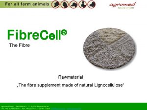 Fibre Cell The Fibre Rawmaterial The fibre supplement