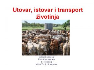 Utovar istovar i transport ivotinja pp prezentacija Praktina