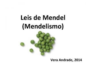 Leis de Mendel Mendelismo Vera Andrade 2014 Histria