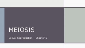 MEIOSIS Sexual Reproduction Chapter 6 MEIOSIS IS THE