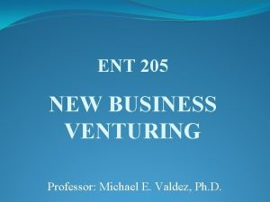 ENT 205 NEW BUSINESS VENTURING Professor Michael E