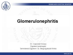 Glomerulonephritis Dr Cseprekl Orsolya Egyetemi tanrsegd Semmelweis Egyetem