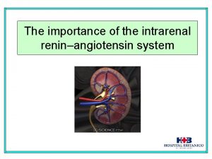 The importance of the intrarenal reninangiotensin system Sistema