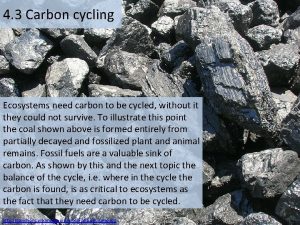 4 3 Carbon cycling Ecosystems need carbon to