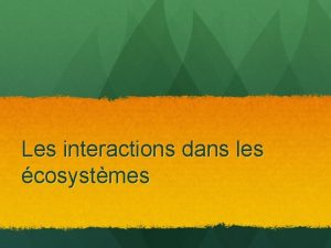 Les interactions dans les cosystmes VOCABULAIRE photosynthse chaine