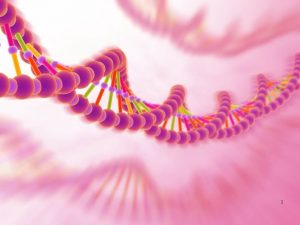 1 Il DNA e lRNA gli acidi nucleici