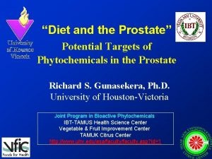 Diet and the Prostate Potential Targets of Phytochemicals