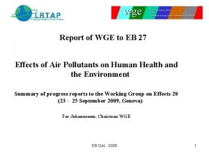 Report of WGE to EB 27 Effects of