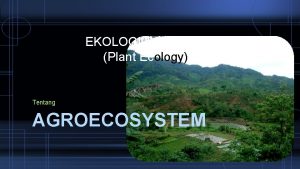 EKOLOGI TANAMAN Plant Ecology Tentang AGROECOSYSTEM Presented By