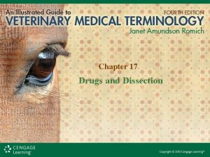 Chapter 17 Drugs and Dissection Pharmacologic Terms Pharmacology