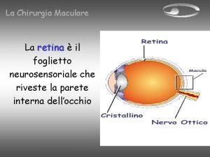 La Chirurgia Maculare La retina il foglietto neurosensoriale