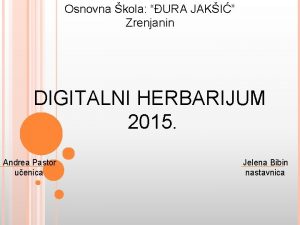 Osnovna kola URA JAKI Zrenjanin DIGITALNI HERBARIJUM 2015