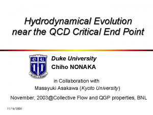 Hydrodynamical Evolution near the QCD Critical End Point