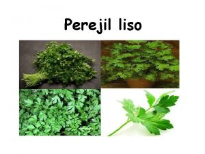 Beneficios del perejil liso