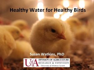 Healthy Water for Healthy Birds Susan Watkins Ph