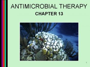ANTIMICROBIAL THERAPY CHAPTER 13 1 Chemotherapeutic Agents n