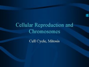 Cellular Reproduction and Chromosomes Cell Cycle Mitosis Cell