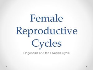 Female Reproductive Cycles Oogenesis and the Ovarian Cycle