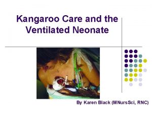 Kangaroo Care and the Ventilated Neonate By Karen