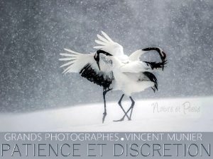 VINCENT MUNIER Cest lge de 12 ans que