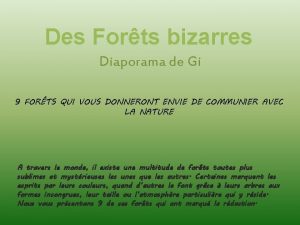 Des Forts bizarres Diaporama de Gi 9 FORTS