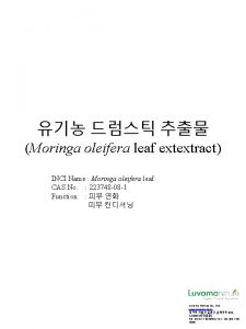 Moringa oleifera leaf extextract INCI Name Moringa oleifera