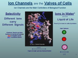 Ion Channels are the Valves of Cells Ion