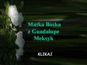 Matka Boska z Guadalupe Meksyk KLIKAJ Ciekawe odkrycia