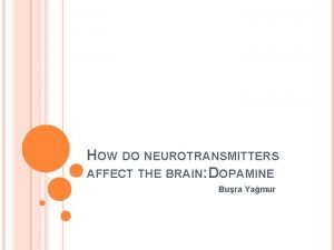HOW DO NEUROTRANSMITTERS AFFECT THE BRAIN DOPAMINE Bura