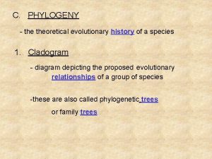 C PHYLOGENY theoretical evolutionary history of a species