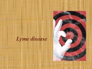 Lyme disease Borrelia burgdorferi sensu stricto Borrelia garinii